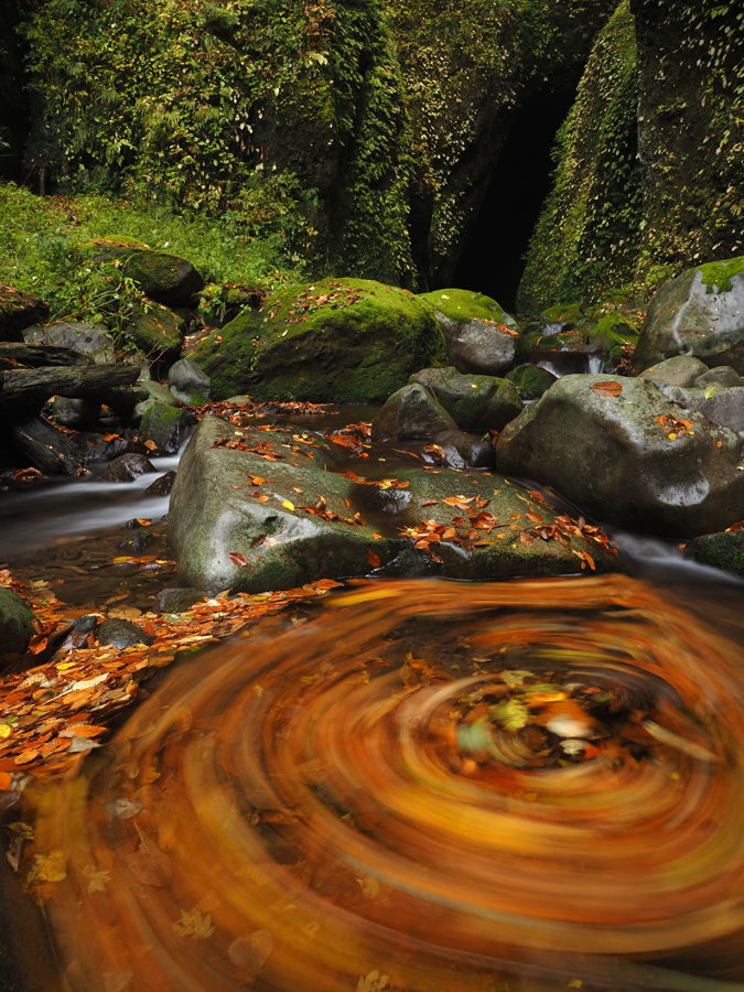 Olympus Om D E M1 Mark Iii Official Sample Image