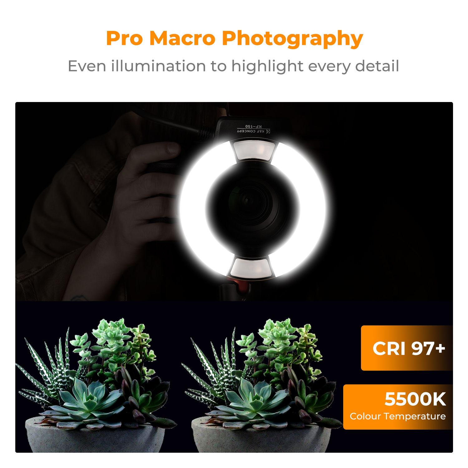 What Background Is The Best For Ring Lights?