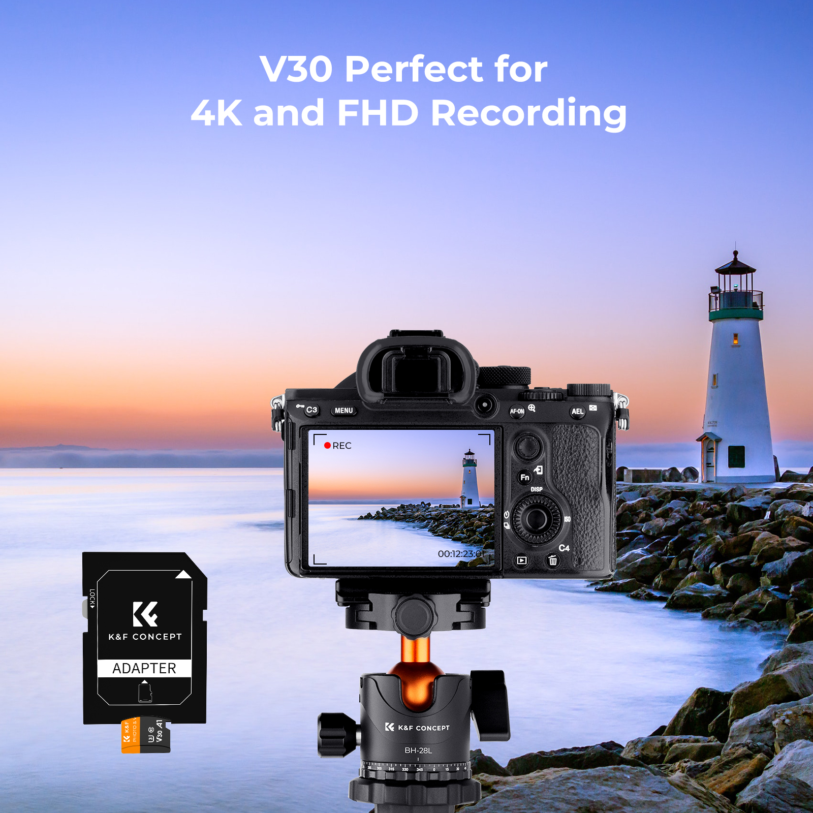 How To Install Micro Sd Card In Switch Lite at Sylvia Vanzandt blog